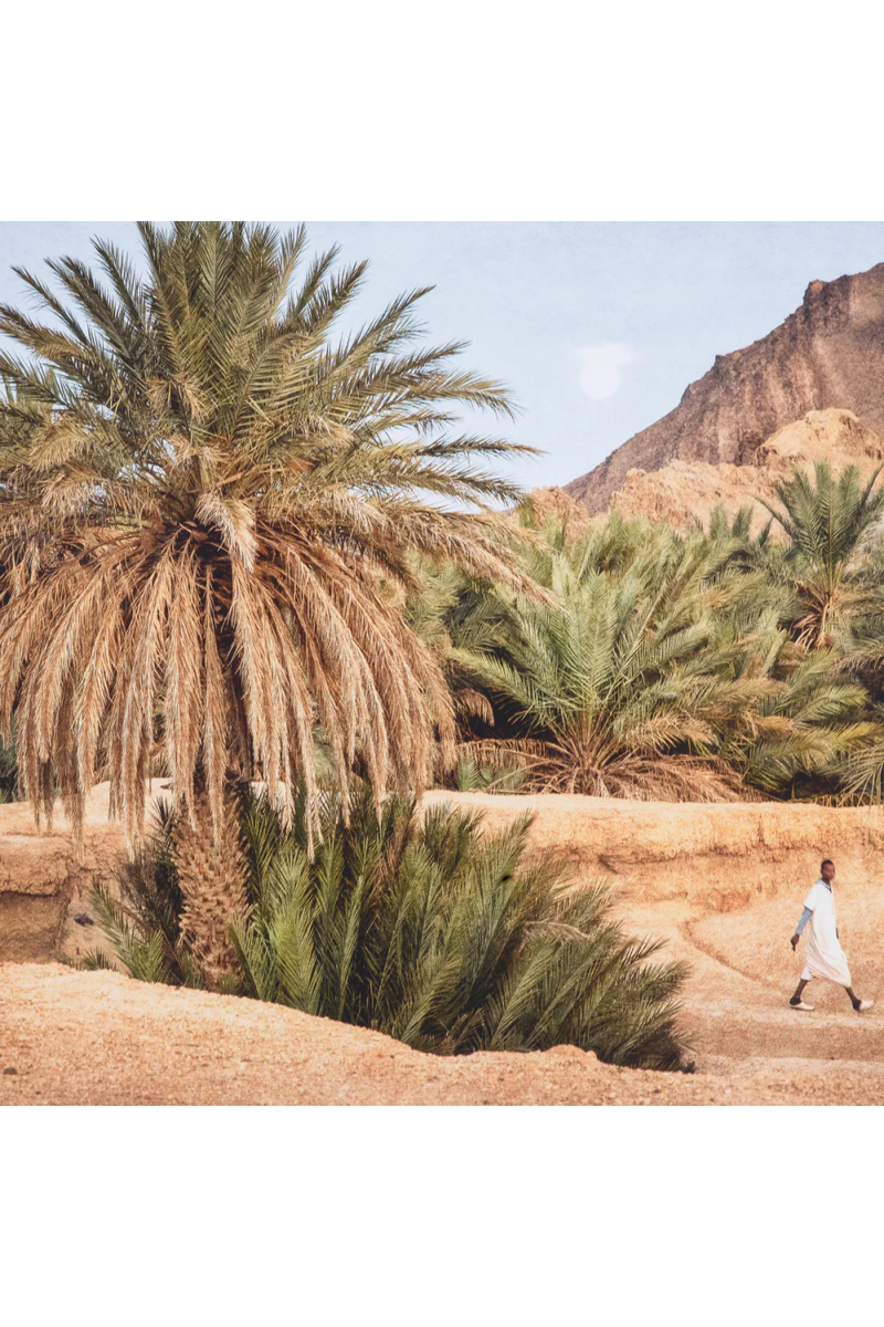 Fotografía del Desierto de Marruecos | Eichholtz Oasis | Oroa.es