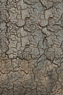 Consola de Minerales y Metal | Ethnicraft Pentagon| Oroa.es