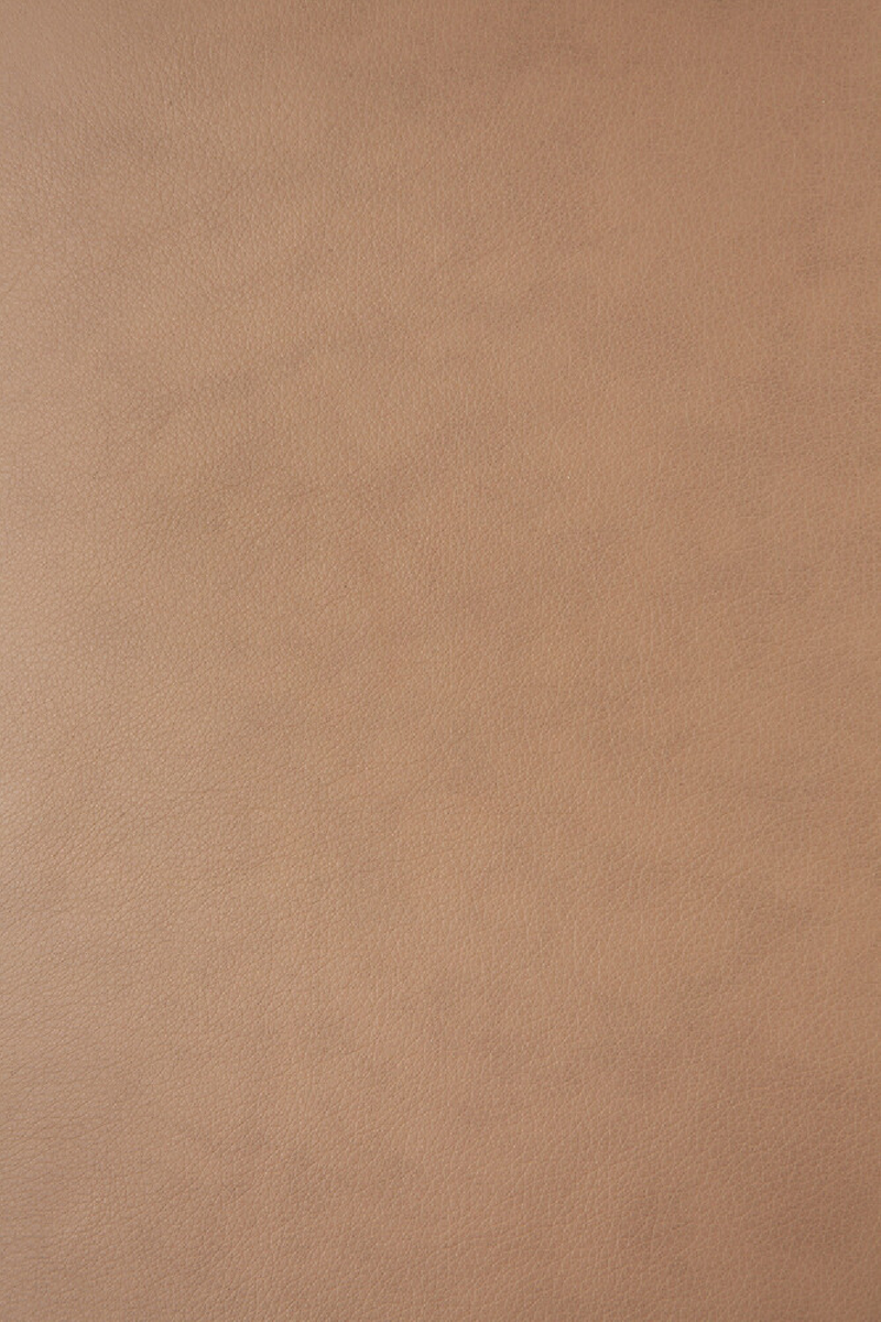 Silla de Comedor Escandinava con Cojín | Ethnicraft Bok