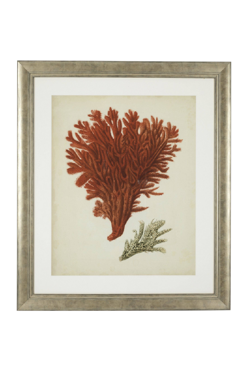 Set de Impresiones de Coral | Eichholtz Red Corals | OROA.es