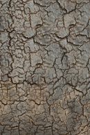 Mesa Auxiliar de 3 Patas | Ethnicraft Triptic | Oroa.es